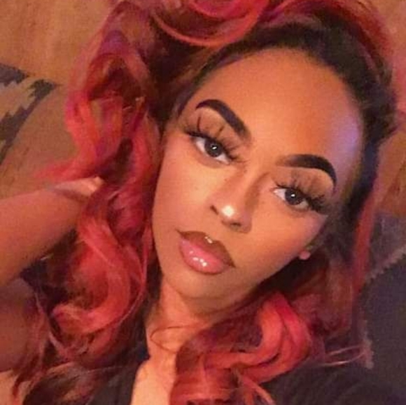 stephrudadon
